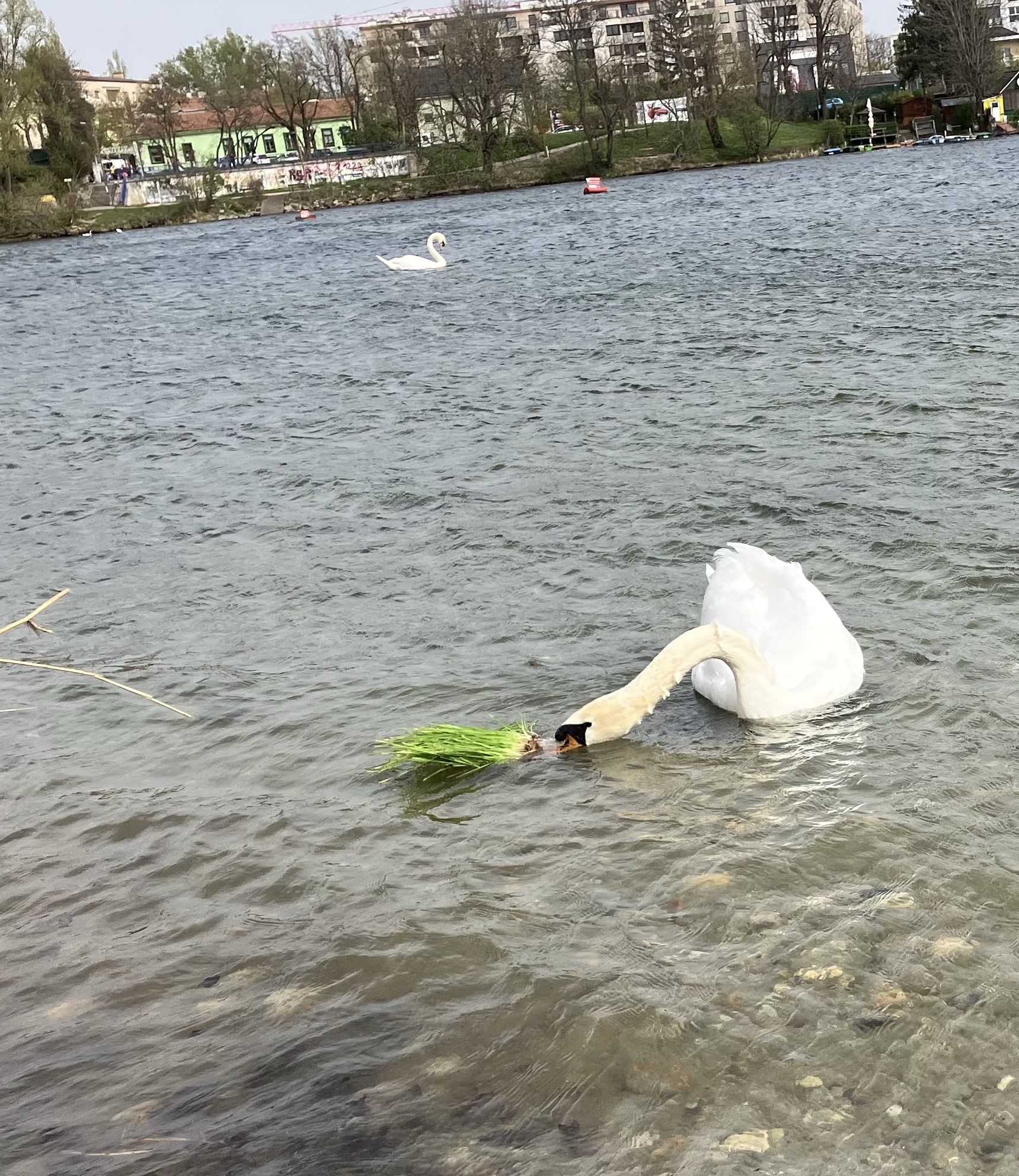 Sizdah bedar – dzień natury